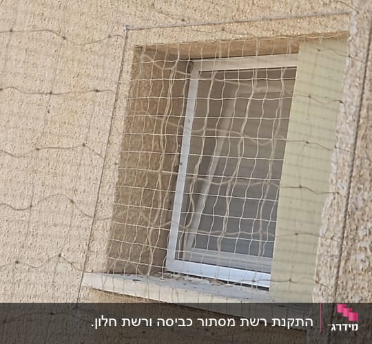 רשת על חלון למניעת כניסת יונים